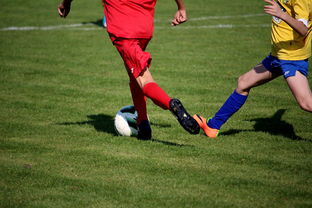 在线投注平台-电竞高校联盟赛事落地百所高校，高校电竞联赛冠军  第2张